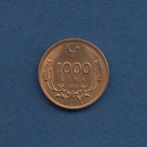 1000 Лир 1995 - Турция 1000 Лир 1995 - Турция